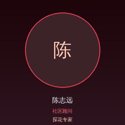 探花陈志远