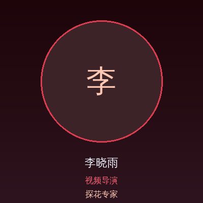 探花李晓雨