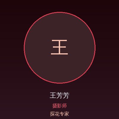 探花王芳芳